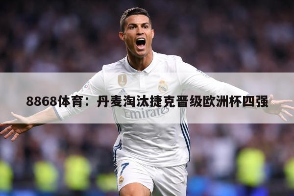 8868体育：丹麦淘汰捷克晋级欧洲杯四强